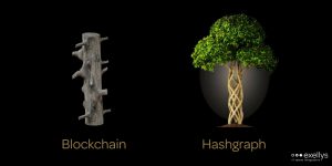 hashgraph versus blockchain